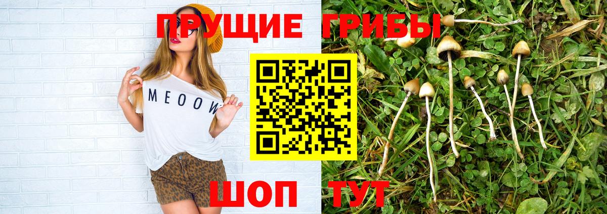 наркотики  Галлюциногенные грибы Magic Shrooms  Видное  Вход с VPN  Галлюциногенные грибы прущие грибы 